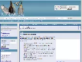 Screenshot of related discussion forum