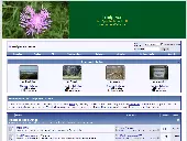 Screenshot of related forum